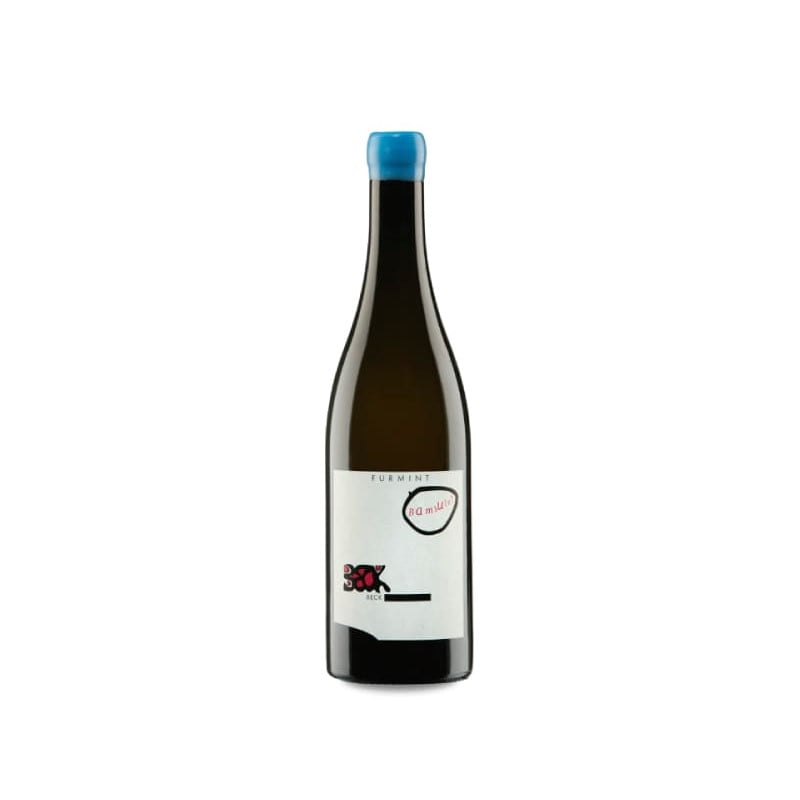 Judith Beck Bambule! Furmint 2023