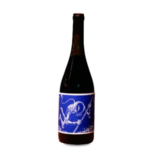 El Mozo El Cosmonauta...