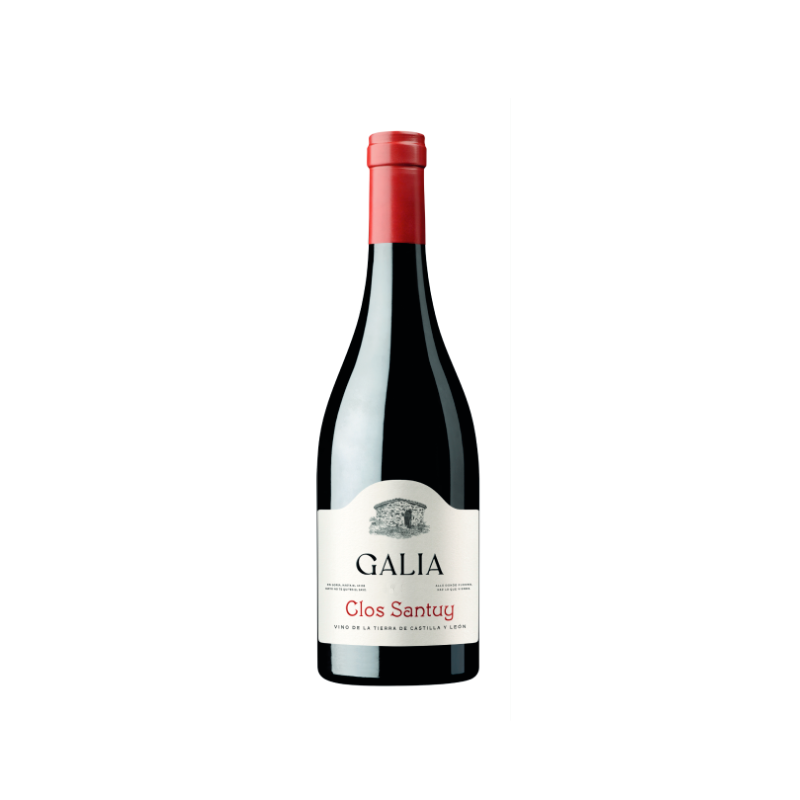 Galia Clos Santuy 2022