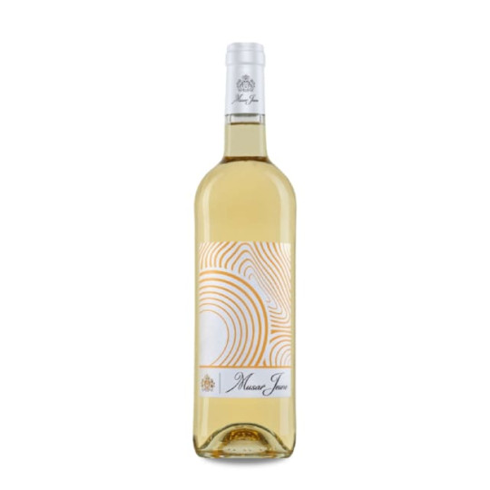 Musar Jeune White 2022