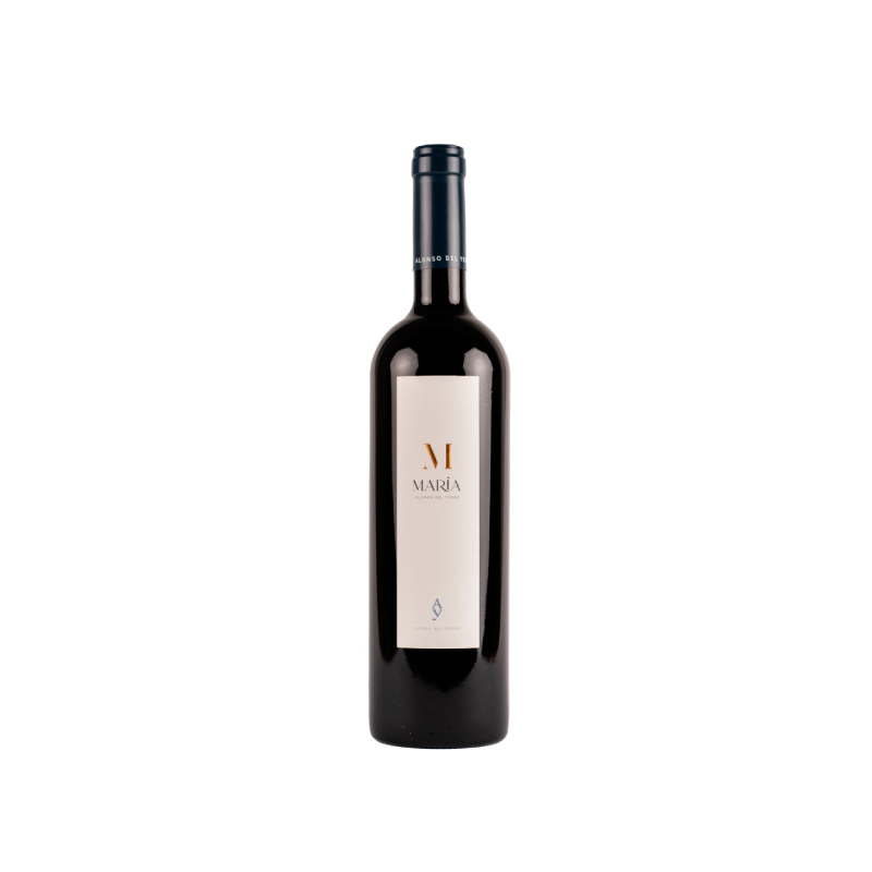 Alonso del Yerro Maria 2021