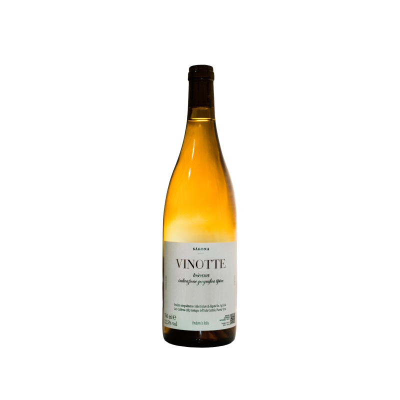 Sàgona ViNotte 2024