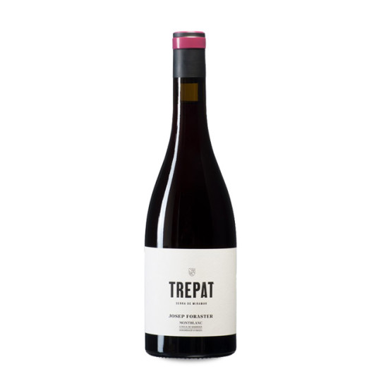 Josep Foraster Trepat 2024