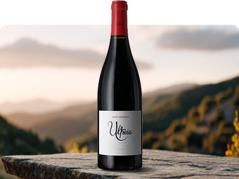 D.O. Bierzo
